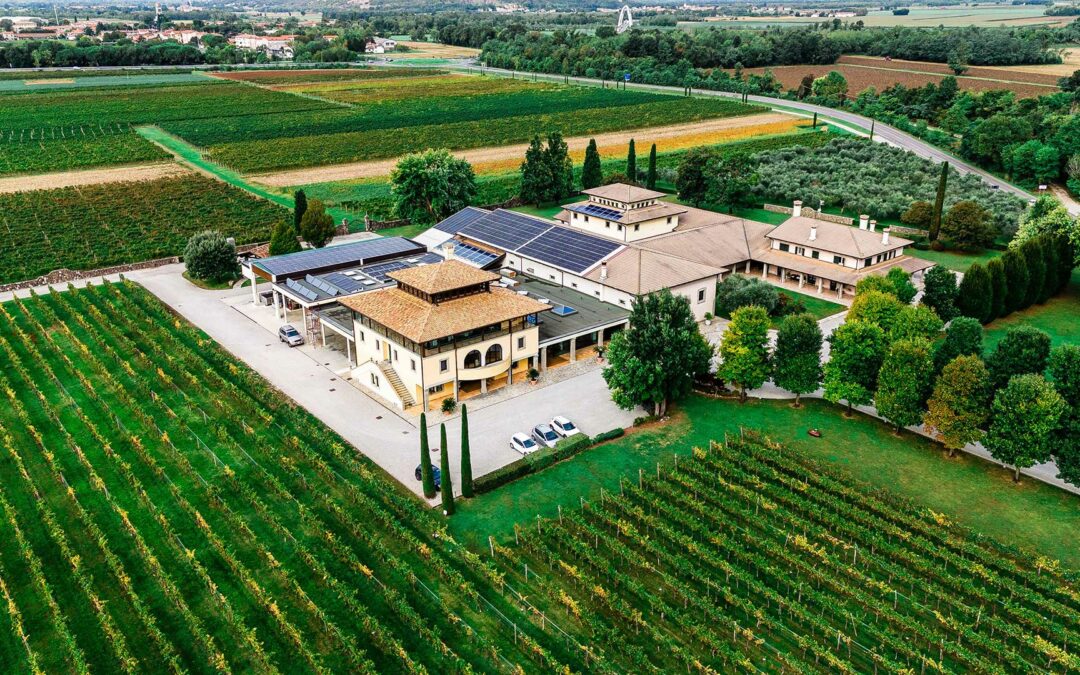 Progetto e Realizzazione Enologica Tenuta Luisa Mariano del Friuli Gorizia