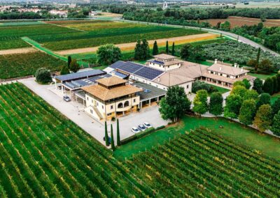 Progetto e Realizzazione Enologica Tenuta Luisa Mariano del Friuli Gorizia