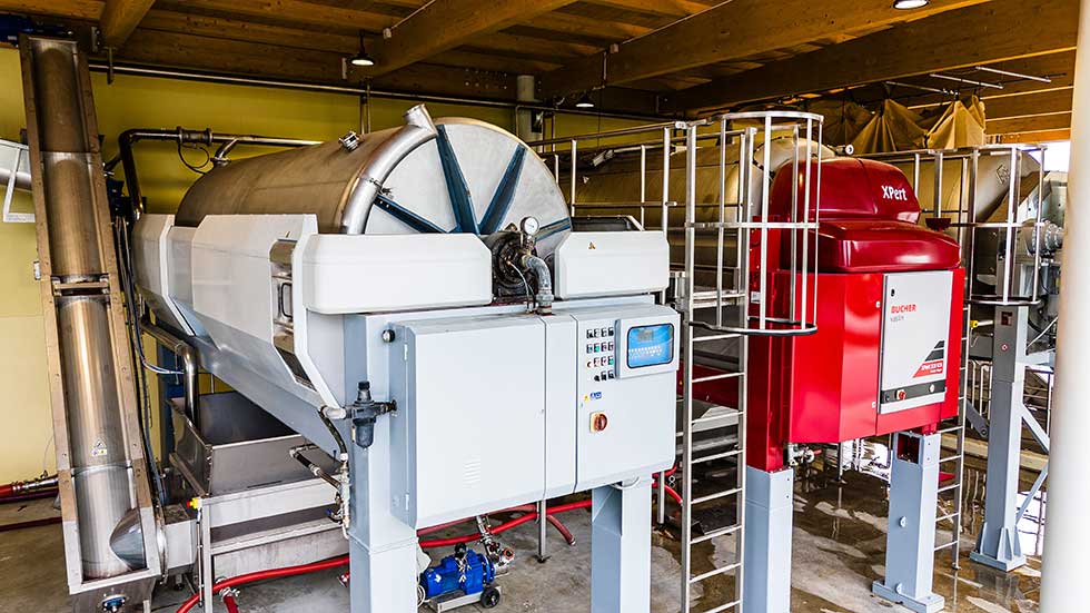 Cantina Luisa Impianto di pressatura